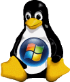 Linux mit virtuellem Windows: Die stabile Grundlage des EasyNetPlus-Internetterminals