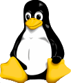 Linux: Die stabile Grundlage des EasyNet-Internetterminals